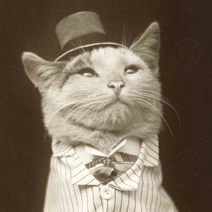 Meet your Posher, Andre